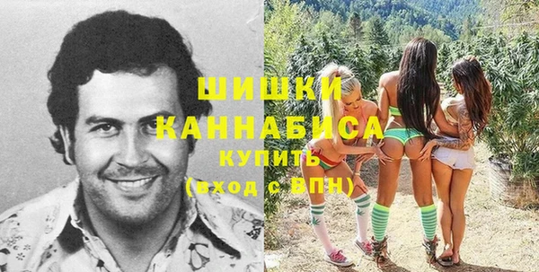 прущий лед Абаза